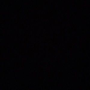 Meet your Posher, Isabella